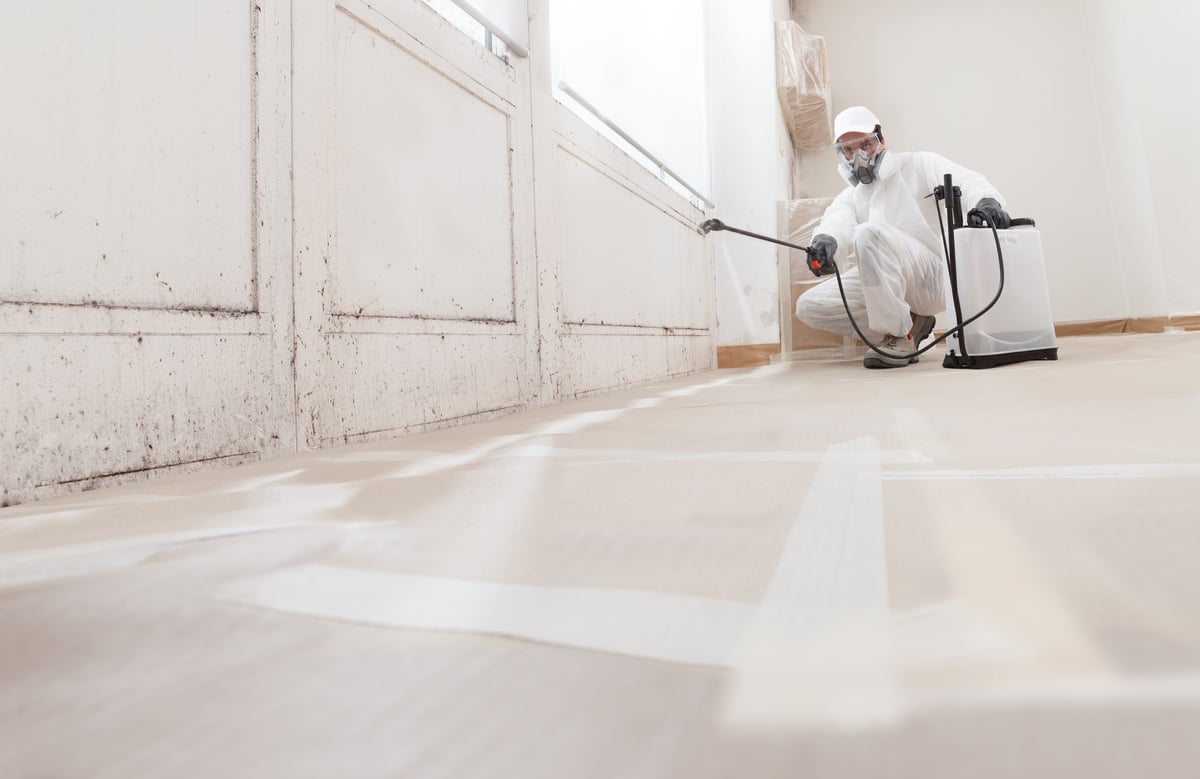 Mold remediation service: A professional worker spraying products